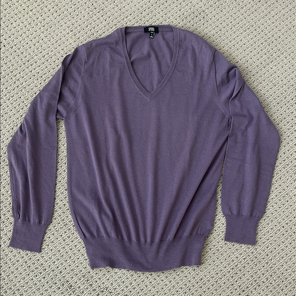 Spurr Men's V-Neck Sweater in Deep Purple